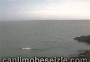 Cork live webcam watch canli izle