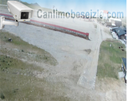 Erciyes Tekir Acemi Pisti Canl Mobese izle