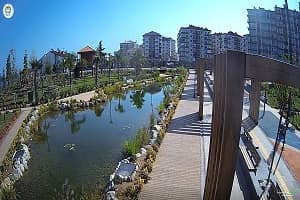 Akçaabat Millet Bahçesi Canlı Mobese İzle