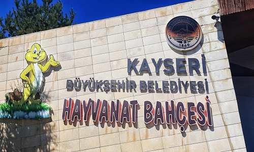 Kayseri Hayvanat Bahçesi Canlı Izle