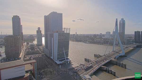 Rotterdam Erasmus Köprüsü Canlı izle